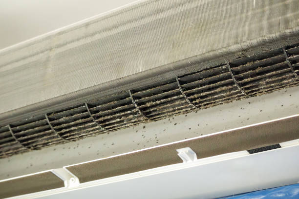 Best Air Duct Cleaning Near Me  in Bostonia, CA